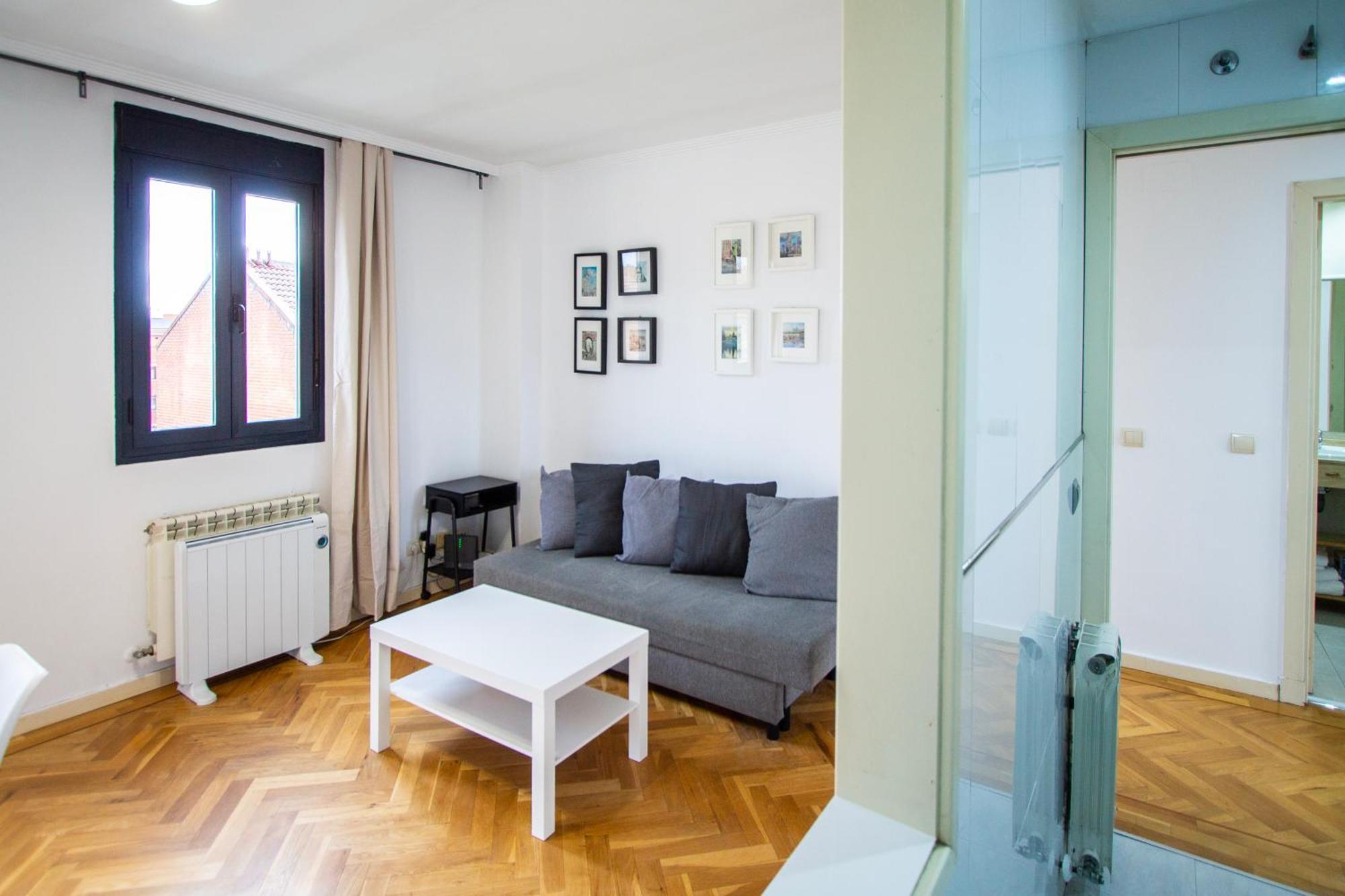Apartamentos Cinco Rosas Мадрид Екстер'єр фото